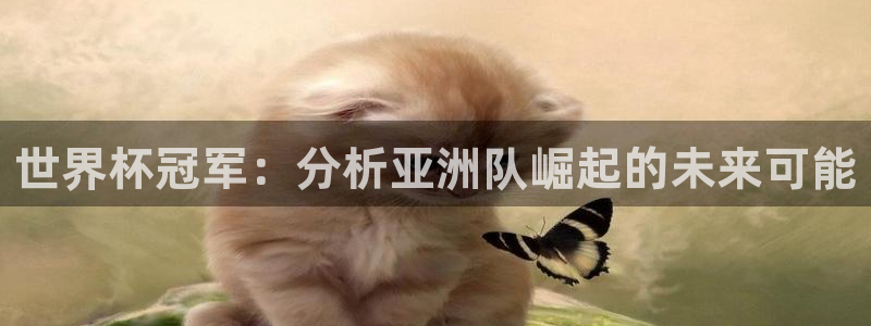 世界杯预选赛赛程表：世界杯冠军：分析亚洲队崛起的未来可能