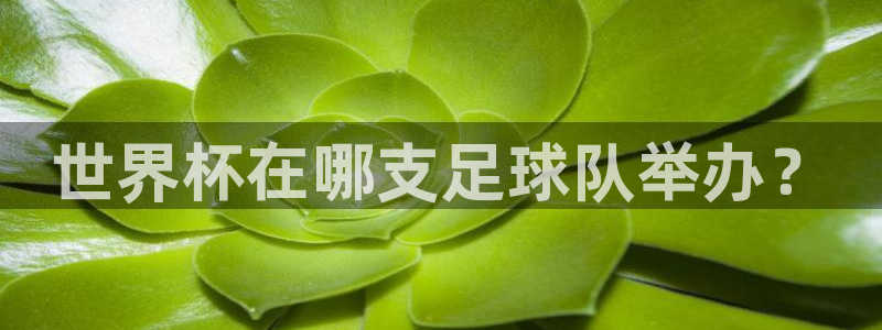 世界杯预选赛亚洲区赛程：世界杯在哪支足球队举办？