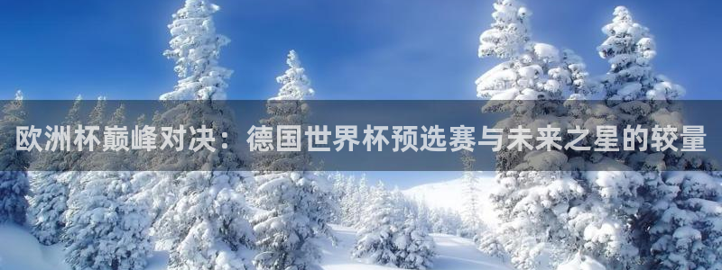 世界杯女足直播:欧洲杯巅峰对决:德国世界杯预选赛与未来之星的较量