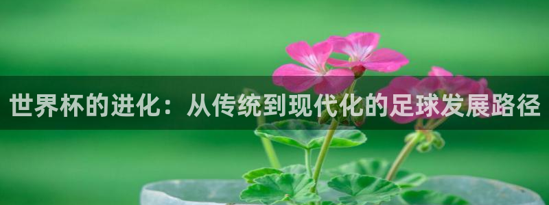 世界杯欧洲区预选赛赛程：世界杯的进化：从传统到现代化的足球发展路径
