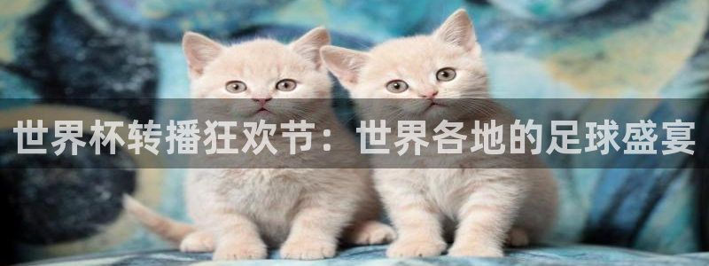 亚洲杯比赛直播：世界杯转播狂欢节：世界各地的足球盛宴