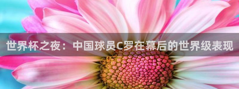 世界杯直播：世界杯之夜：中国球员C罗在幕后的世界级表现