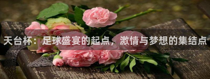 2006年世界杯冠军：天台杯：足球盛宴的起点，激情与梦想的集结点