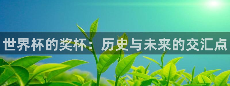 世预赛欧洲赛程表：世界杯的奖杯：历史与未来的交汇点