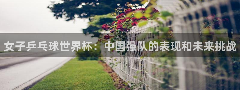 2006年世界杯冠军：女子乒乓球世界杯：中国强队的表现和未来挑战