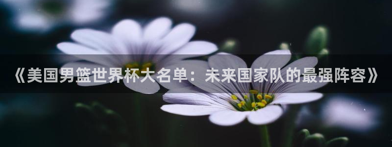 欧洲世界杯预选赛：《美国男篮世界杯大名单：未来国家队的最强阵容》