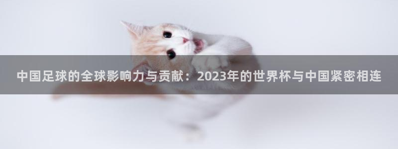 亚洲杯足球：中国足球的全球影响力与贡献：2023年的世界杯与中国紧密相连