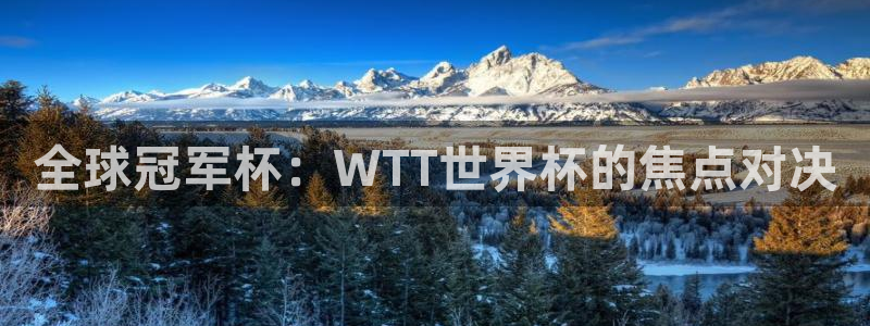2026足球世界杯：全球冠军杯：WTT世界杯的焦点对决
