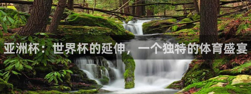 世界杯直播平台:亚洲杯:世界杯的延伸,一个独特的体育盛宴