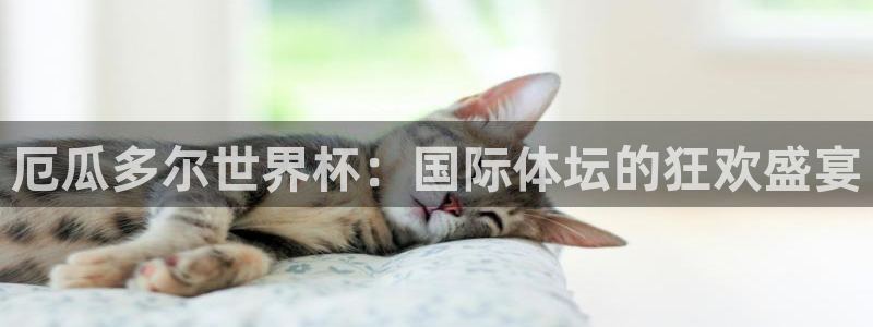 欧洲世界杯预选赛：厄瓜多尔世界杯：国际体坛的狂欢盛宴