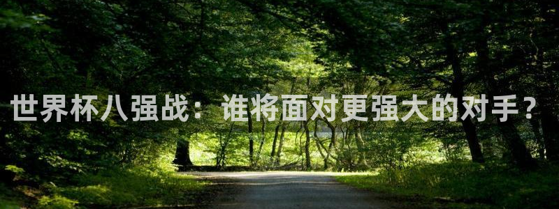 2026世界杯南美区积分榜：世界杯八强战：谁将面对更强大的对手？